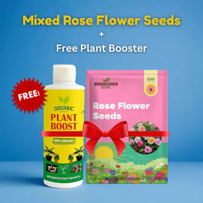 Hybrid Climbing Rose Flower Seeds + Free Growth Booster!